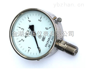 JN-YTS-100、150耐酸压力表